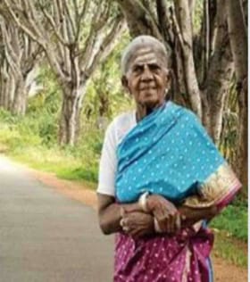 ನೆನಪುಗಳಲ್ಲಿ ಮರೆಯಾದ “ಶತಾಯುಷಿ ವೃಕ್ಷ ಮಾತೆ ಸಾಲುಮರದ ತಿಮ್ಮಕ್ಕ”